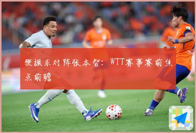 樊振东对阵张本智：WTT赛事赛前焦点前瞻