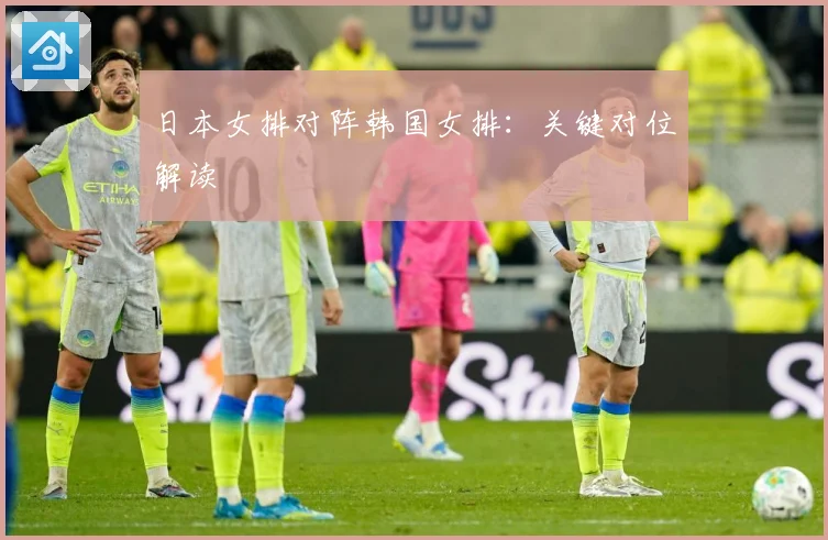 日本女排对阵韩国女排：关键对位解读