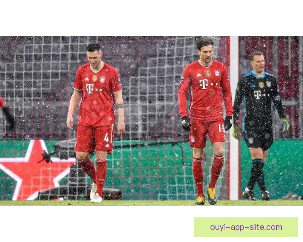 格纳布里戈雷茨卡联手点燃拜仁球场庆祝狂欢