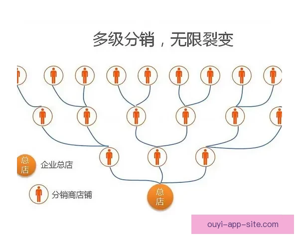 世界杯竞猜赔率分析与预测：如何根据数据做出明智投注决策